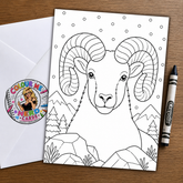 Big Horn Sheep – Colour Me Nerd Card for Kids – Art by Chris Tutty