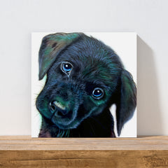 Dog Canvas Art - Curious Companion by Chris Tutty